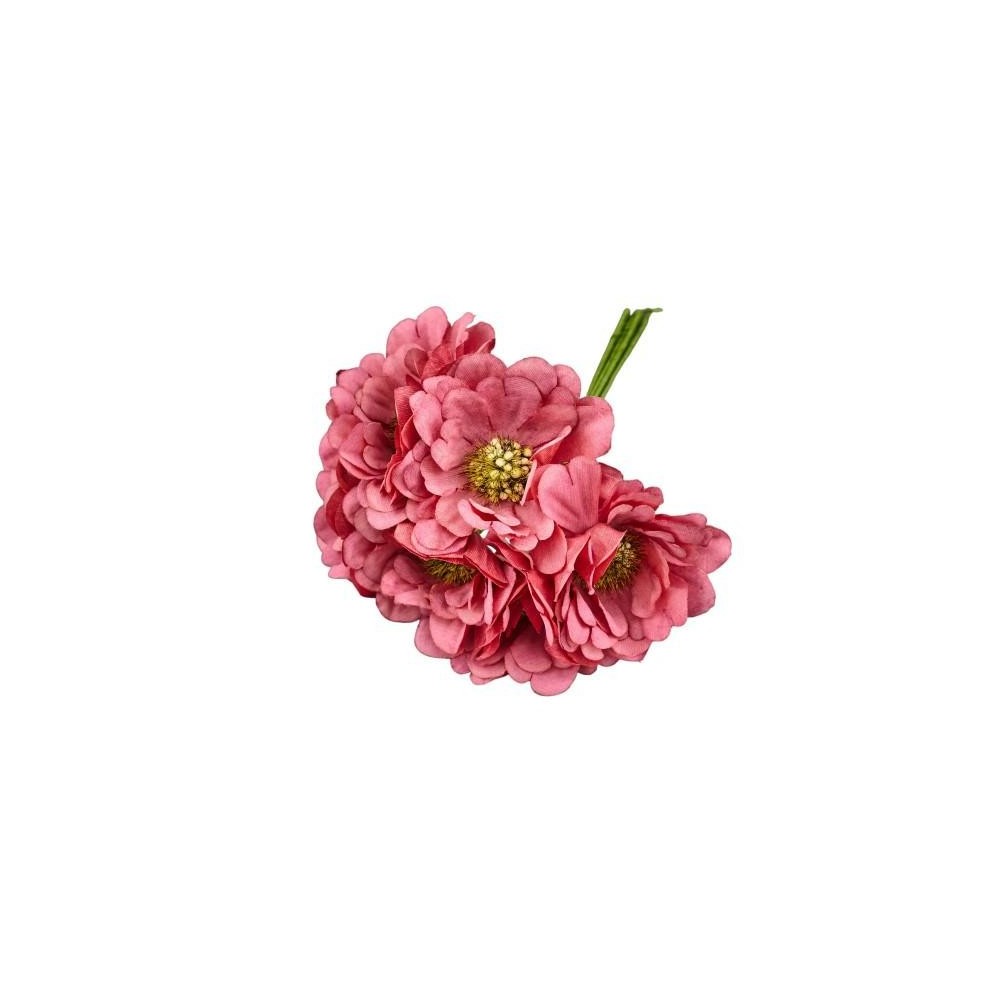 GERBERA SFUMATA CORALLO D5